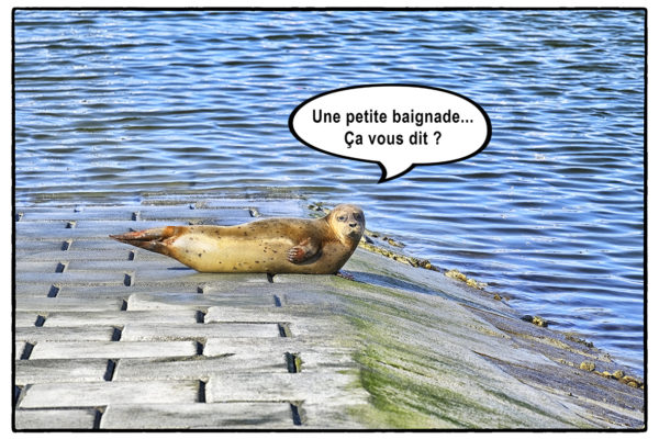 10 - Pour rire 34