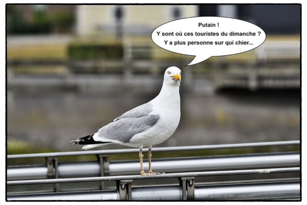 10 - Pour rire 37