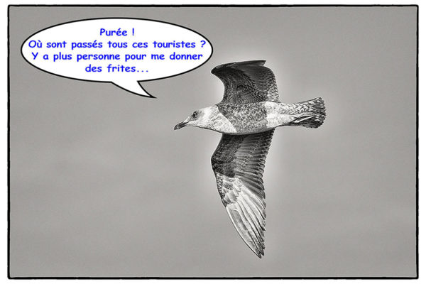 10 - Pour rire 38