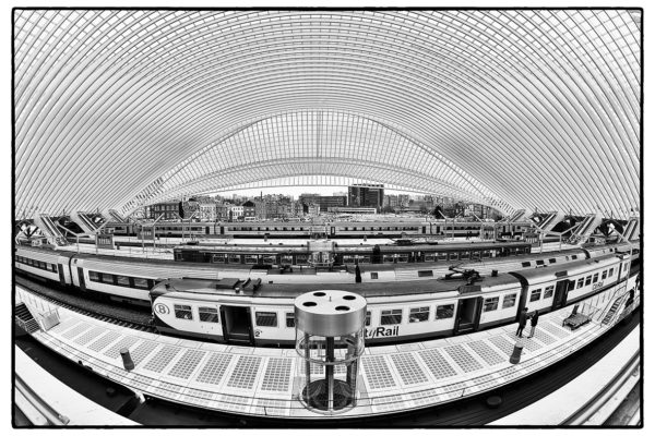 Gare des Guillemins